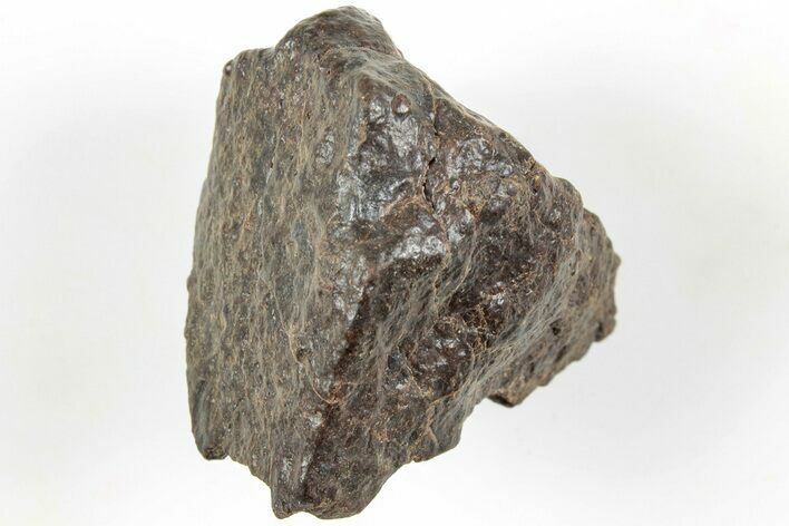 Chondrite Meteorite ( g) - Western Sahara Desert #233203